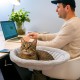 Jinfanshurich Cat Bed for Desk - 360° Rotatable & Height Adjustable Cat Basket, Removable Portable Cat Bed Stand, Soft Cat Hammock for Home Office (Grey) Jinfanshurich Cat Bed for Desk - 360° Rotatable & Height Adjustable Cat Basket, Removable Portable Cat Bed Stand, Soft Cat Hammock for Home Office (Grey)