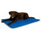 K&H Coolin' Bed for Dogs and Cats, Blue, Large K&H Coolin' Bed for Dogs and Cats, Blue, Large
