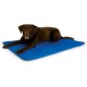 K&H Coolin' Bed for Dogs and Cats, Blue, Large K&H Coolin' Bed for Dogs and Cats, Blue, Large