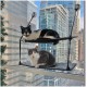 K&H Manufacturing K&H EZ Window Mount Kitty Sill, Single Level K&H Manufacturing K&H EZ Window Mount Kitty Sill, Single Level