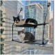 K&H Manufacturing K&H EZ Window Mount Kitty Sill, Single Level K&H Manufacturing K&H EZ Window Mount Kitty Sill, Single Level
