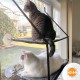 K&H Manufacturing K&H EZ Window Mount Kitty Sill, Single Level K&H Manufacturing K&H EZ Window Mount Kitty Sill, Single Level