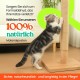 KONELCARE Premium 89 cm Cat Scratching Post - Natural Pear Wood, Sisal Rope, Rubber Wood Base with Oak Skin, Ideal for Large Cats, Free Rope Replacement KONELCARE Premium 89 cm Cat Scratching Post - Natural Pear Wood, Sisal Rope, Rubber Wood Base with Oak Skin, Ideal for Large Cats, Free Rope Replacement