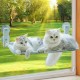 KSALUX Cat Hammock with Window, Foldable | Cat Bed with Reinforced Suction Cups | Reversible Mat and Washable up to 18 kg | 3 Toys + 2 Replacement Suction Cups (Window Grey) KSALUX Cat Hammock with Window, Foldable | Cat Bed with Reinforced Suction Cups | Reversible Mat and Washable up to 18 kg | 3 Toys + 2 Replacement Suction Cups (Window Grey)