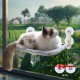 KSALUX Cat Hammock with Window, Foldable | Cat Bed with Reinforced Suction Cups | Reversible Mat and Washable up to 18 kg | 3 Toys + 2 Replacement Suction Cups (Window Grey) KSALUX Cat Hammock with Window, Foldable | Cat Bed with Reinforced Suction Cups | Reversible Mat and Washable up to 18 kg | 3 Toys + 2 Replacement Suction Cups (Window Grey)