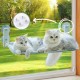 KSALUX Cat Hammock with Window, Foldable | Cat Bed with Reinforced Suction Cups | Reversible Mat and Washable up to 18 kg | 3 Toys + 2 Replacement Suction Cups (Window Grey) KSALUX Cat Hammock with Window, Foldable | Cat Bed with Reinforced Suction Cups | Reversible Mat and Washable up to 18 kg | 3 Toys + 2 Replacement Suction Cups (Window Grey)