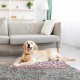 Katzendecke für Katzen, 3 Stück 40*60cm kleine Decke für Sofa und Reisen,Weich Kuscheldecke Hund Katze für Herbst und Winter,Weich und Flauschig, Leicht zu Verstauen,für Sofas, Betten, Transportbox Katzendecke für Katzen, 3 Stück 40*60cm kleine Decke für Sofa und Reisen,Weich Kuscheldecke Hund Katze für Herbst und Winter,Weich und Flauschig, Leicht zu Verstauen,für Sofas, Betten, Transportbox