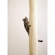 Kerbl Climber 84457 Climbing Bag Height 240 cm Diameter 16 cm for Attaching to the Ceiling Made of Sisal Carpet Beige Kerbl Climber 84457 Climbing Bag Height 240 cm Diameter 16 cm for Attaching to the Ceiling Made of Sisal Carpet Beige