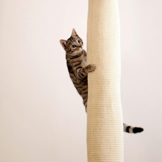 Kerbl Climber 84457 Climbing Bag Height 240 cm Diameter 16 cm for Attaching to the Ceiling Made of Sisal Carpet Beige Kerbl Climber 84457 Climbing Bag Height 240 cm Diameter 16 cm for Attaching to the Ceiling Made of Sisal Carpet Beige
