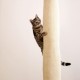 Kerbl Climber 84457 Climbing Bag Height 240 cm Diameter 16 cm for Attaching to the Ceiling Made of Sisal Carpet Beige Kerbl Climber 84457 Climbing Bag Height 240 cm Diameter 16 cm for Attaching to the Ceiling Made of Sisal Carpet Beige