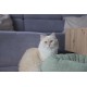 Kerbl Pet Cuddly Cave Anne, Green, 45 x 40 x 34 cm Kerbl Pet Cuddly Cave Anne, Green, 45 x 40 x 34 cm