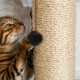 Kisangel Pack of 4 Replacement Ball for Cat Scratching Posts Toy Ball for Cat Scratching Post Replacement Ball for Cat Scratching Posts Spring Ball Toy for Cats Scratching Post Ball for Cats Plush Kisangel Pack of 4 Replacement Ball for Cat Scratching Posts Toy Ball for Cat Scratching Post Replacement Ball for Cat Scratching Posts Spring Ball Toy for Cats Scratching Post Ball for Cats Plush