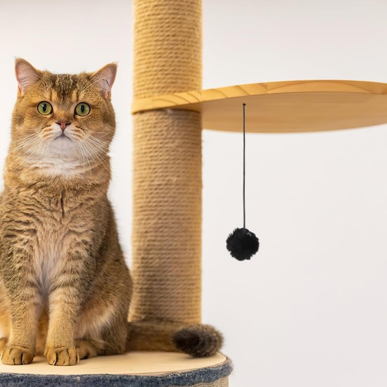 Kisangel Pack of 4 Replacement Ball for Cat Scratching Posts Toy Ball for Cat Scratching Post Replacement Ball for Cat Scratching Posts Spring Ball Toy for Cats Scratching Post Ball for Cats Plush Kisangel Pack of 4 Replacement Ball for Cat Scratching Posts Toy Ball for Cat Scratching Post Replacement Ball for Cat Scratching Posts Spring Ball Toy for Cats Scratching Post Ball for Cats Plush
