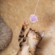 Kisangel Pack of 4 Replacement Ball for Cat Scratching Posts Toy Ball for Cat Scratching Post Replacement Ball for Cat Scratching Posts Spring Ball Toy for Cats Scratching Post Ball for Cats Plush Kisangel Pack of 4 Replacement Ball for Cat Scratching Posts Toy Ball for Cat Scratching Post Replacement Ball for Cat Scratching Posts Spring Ball Toy for Cats Scratching Post Ball for Cats Plush
