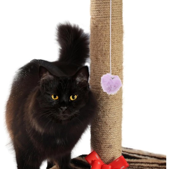 Kisangel Pack of 4 Replacement Ball for Cat Scratching Posts Toy Ball for Cat Scratching Post Replacement Ball for Cat Scratching Posts Spring Ball Toy for Cats Scratching Post Ball for Cats Plush Kisangel Pack of 4 Replacement Ball for Cat Scratching Posts Toy Ball for Cat Scratching Post Replacement Ball for Cat Scratching Posts Spring Ball Toy for Cats Scratching Post Ball for Cats Plush
