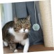 Kisangel Pack of 4 Replacement Ball for Cat Scratching Posts Toy Ball for Cat Scratching Post Replacement Ball for Cat Scratching Posts Spring Ball Toy for Cats Scratching Post Ball for Cats Plush Kisangel Pack of 4 Replacement Ball for Cat Scratching Posts Toy Ball for Cat Scratching Post Replacement Ball for Cat Scratching Posts Spring Ball Toy for Cats Scratching Post Ball for Cats Plush