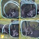 Kitty City Claw Indoor & Outdoor Mega Kit Cat Furniture Cat Sleeper Outdoor Kennel Corrugated Cardboard Cat Scratcher Black Kitty City Claw Indoor & Outdoor Mega Kit Cat Furniture Cat Sleeper Outdoor Kennel Corrugated Cardboard Cat Scratcher Black