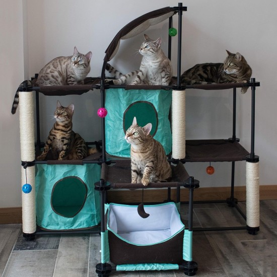 Kitty City Claw Indoor & Outdoor Mega Kit Cat Furniture Cat Sleeper Outdoor Kennel Corrugated Cardboard Cat Scratcher Black Kitty City Claw Indoor & Outdoor Mega Kit Cat Furniture Cat Sleeper Outdoor Kennel Corrugated Cardboard Cat Scratcher Black