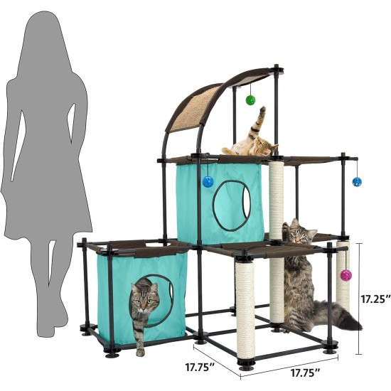 Kitty City Claw Indoor & Outdoor Mega Kit Cat Furniture Cat Sleeper Outdoor Kennel Corrugated Cardboard Cat Scratcher Black Kitty City Claw Indoor & Outdoor Mega Kit Cat Furniture Cat Sleeper Outdoor Kennel Corrugated Cardboard Cat Scratcher Black