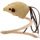 Kratzbaum für Katzen in Beige, inklusive strukturierter Oberfläche, Stabiler Boden und interaktivem Spielzeug; ideal zum Spielen und zur Nagelpflege. Kratzbaum für Katzen in Beige, inklusive strukturierter Oberfläche, Stabiler Boden und interaktivem Spielzeug; ideal zum Spielen und zur Nagelpflege.