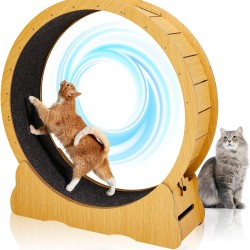 LEADZM Cat Wheel, 100 cm Diameter, Cat Wheel for Large Cats, High Density Fibreboard, Scratch-Resistant, Stable and Quiet, Suitable for Cats Weighing up to 11 kg, Wood Colour LEADZM Cat Wheel, 100 cm Diameter, Cat Wheel for Large Cats, High Density Fibreboard, Scratch-Resistant, Stable and Quiet, Suitable for Cats Weighing up to 11 kg, Wood Colour