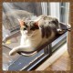LSAIFATER All-round 360° Cat Hammock For Sunbathing, With Lower Support, Safety Iron, Window Seat For All Cats LSAIFATER All-round 360° Cat Hammock For Sunbathing, With Lower Support, Safety Iron, Window Seat For All Cats
