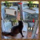 LSAIFATER All-round 360° Cat Hammock For Sunbathing, With Lower Support, Safety Iron, Window Seat For All Cats LSAIFATER All-round 360° Cat Hammock For Sunbathing, With Lower Support, Safety Iron, Window Seat For All Cats