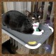 LSAIFATER All-round 360° Cat Hammock For Sunbathing, With Lower Support, Safety Iron, Window Seat For All Cats LSAIFATER All-round 360° Cat Hammock For Sunbathing, With Lower Support, Safety Iron, Window Seat For All Cats