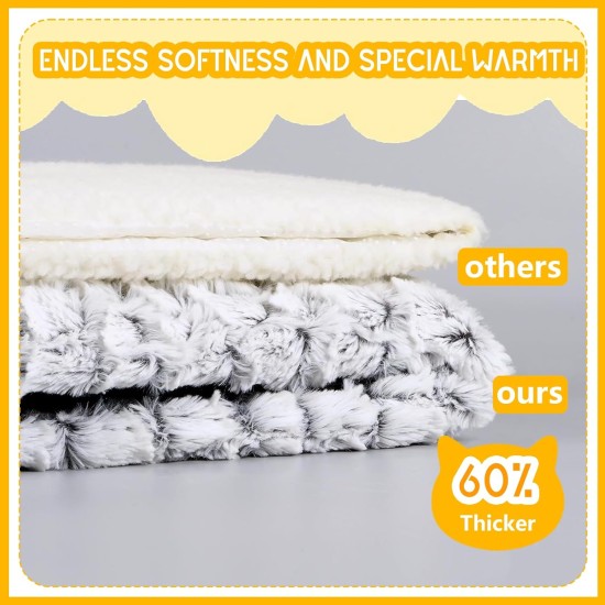 LURNODY Self-Heating Blanket for Dogs and Cats, 60 x 40 cm, Heating Blanket for Cats and Dogs, Washable Thermal Blanket, Pet Heat Pad for Indoor and Outdoor Use LURNODY Self-Heating Blanket for Dogs and Cats, 60 x 40 cm, Heating Blanket for Cats and Dogs, Washable Thermal Blanket, Pet Heat Pad for Indoor and Outdoor Use