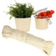 Lantelme Sisal Rope 30 Metres, Natural Rope Made of Sisal Fibre, Diameter 4 mm, Perfect Sisal for Scratching Post, Cat Supplies, DIY, Crafts, Furniture Construction and Decoration, Versatile for DIY Lantelme Sisal Rope 30 Metres, Natural Rope Made of Sisal Fibre, Diameter 4 mm, Perfect Sisal for Scratching Post, Cat Supplies, DIY, Crafts, Furniture Construction and Decoration, Versatile for DIY