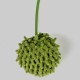 Love Story, Green Cactus Hanging Scratching Post - Polyester/Jute - 31cm x 51cm Love Story, Green Cactus Hanging Scratching Post - Polyester/Jute - 31cm x 51cm