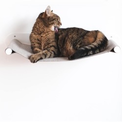 LucyBalu® Cat Hammock with Natural Felt | Hammock for Cats as a Cat Bed on the Wall I Cat Lounger for Wall with Metal Frame | Wall Bed Cat | Made in Germany I White/Sand LucyBalu® Cat Hammock with Natural Felt | Hammock for Cats as a Cat Bed on the Wall I Cat Lounger for Wall with Metal Frame | Wall Bed Cat | Made in Germany I White/Sand