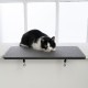 LucyBalu® Window Sill Cushion for Cats Made of Wool Felt | Lying Mat Window Sill Cat | Cat Window Bed Window Sill | Window Lounger as Cat Window Bed | Light Grey LucyBalu® Window Sill Cushion for Cats Made of Wool Felt | Lying Mat Window Sill Cat | Cat Window Bed Window Sill | Window Lounger as Cat Window Bed | Light Grey