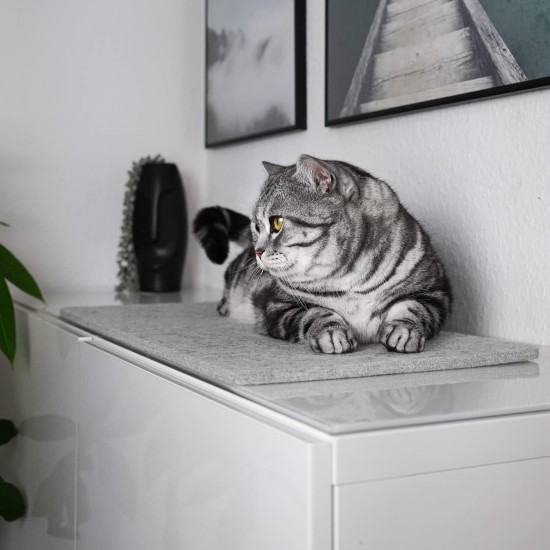LucyBalu® Window Sill Cushion for Cats Made of Wool Felt | Lying Mat Window Sill Cat | Cat Window Bed Window Sill | Window Lounger as Cat Window Bed | Light Grey LucyBalu® Window Sill Cushion for Cats Made of Wool Felt | Lying Mat Window Sill Cat | Cat Window Bed Window Sill | Window Lounger as Cat Window Bed | Light Grey