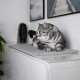 LucyBalu® Window Sill Cushion for Cats Made of Wool Felt | Lying Mat Window Sill Cat | Cat Window Bed Window Sill | Window Lounger as Cat Window Bed | Light Grey LucyBalu® Window Sill Cushion for Cats Made of Wool Felt | Lying Mat Window Sill Cat | Cat Window Bed Window Sill | Window Lounger as Cat Window Bed | Light Grey