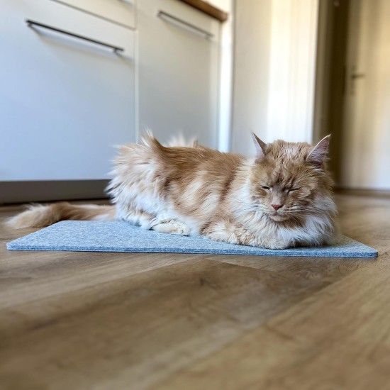 LucyBalu® Window Sill Cushion for Cats Made of Wool Felt | Lying Mat Window Sill Cat | Cat Window Bed Window Sill | Window Lounger as Cat Window Bed | Light Grey LucyBalu® Window Sill Cushion for Cats Made of Wool Felt | Lying Mat Window Sill Cat | Cat Window Bed Window Sill | Window Lounger as Cat Window Bed | Light Grey