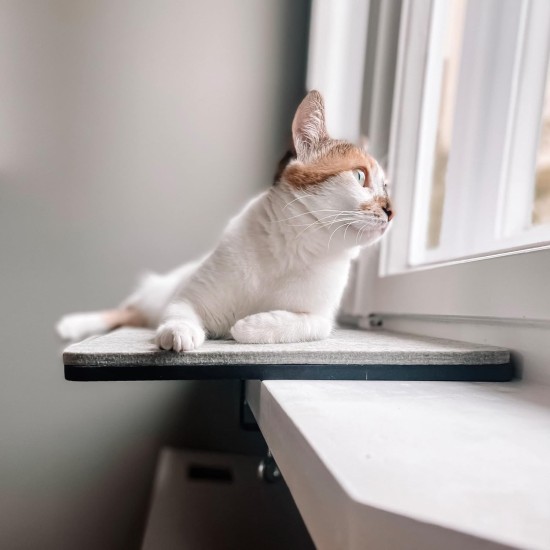 LucyBalu® Window Sill Cushion for Cats Made of Wool Felt | Lying Mat Window Sill Cat | Cat Window Bed Window Sill | Window Lounger as Cat Window Bed | Light Grey LucyBalu® Window Sill Cushion for Cats Made of Wool Felt | Lying Mat Window Sill Cat | Cat Window Bed Window Sill | Window Lounger as Cat Window Bed | Light Grey