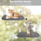 Lvjkes Cat Window Lounger, Window Lounger for Cats, 52 x 30 cm, Foldable, with Sturdy Metal Frame, 4 Strong Suction Cups, Various Fabrics Top and Bottom, Suitable for All Seasons (Beige) Lvjkes Cat Window Lounger, Window Lounger for Cats, 52 x 30 cm, Foldable, with Sturdy Metal Frame, 4 Strong Suction Cups, Various Fabrics Top and Bottom, Suitable for All Seasons (Beige)