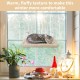 Lvjkes Cat Window Lounger, Window Lounger for Cats, 52 x 30 cm, Foldable, with Sturdy Metal Frame, 4 Strong Suction Cups, Various Fabrics Top and Bottom, Suitable for All Seasons (Beige) Lvjkes Cat Window Lounger, Window Lounger for Cats, 52 x 30 cm, Foldable, with Sturdy Metal Frame, 4 Strong Suction Cups, Various Fabrics Top and Bottom, Suitable for All Seasons (Beige)