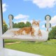 MEWOOFUN Cat Hammock Window 54 x 30 cm Cat Bed Window Reversible Mat - Cat Window Lounger with Update Strong Suction Cups up to 18 kg (Grey, M) MEWOOFUN Cat Hammock Window 54 x 30 cm Cat Bed Window Reversible Mat - Cat Window Lounger with Update Strong Suction Cups up to 18 kg (Grey, M)