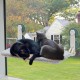 MEWOOFUN Cat Hammock Window 54 x 30 cm Cat Bed Window Reversible Mat - Cat Window Lounger with Update Strong Suction Cups up to 18 kg (Grey, M) MEWOOFUN Cat Hammock Window 54 x 30 cm Cat Bed Window Reversible Mat - Cat Window Lounger with Update Strong Suction Cups up to 18 kg (Grey, M)