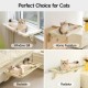 MEWOOFUN Cat Hammock Window Cat Bed Window Sill for Cats - 50 x 36 cm Cat Bed for Heating Cats Hammock with Soft Bed Removable Suction Cup Free Holds 18 kg (White L) MEWOOFUN Cat Hammock Window Cat Bed Window Sill for Cats - 50 x 36 cm Cat Bed for Heating Cats Hammock with Soft Bed Removable Suction Cup Free Holds 18 kg (White L)