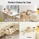 MEWOOFUN Cat Hammock Window Cat Bed Window Sill for Cats - 50 x 36 cm Cat Bed for Heating Cats Hammock with Soft Bed Removable Suction Cup Free Holds 18 kg (White L) MEWOOFUN Cat Hammock Window Cat Bed Window Sill for Cats - 50 x 36 cm Cat Bed for Heating Cats Hammock with Soft Bed Removable Suction Cup Free Holds 18 kg (White L)