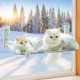 MEWOOFUN Cat Hammock Window Seats for Cats 54 x 30 cm Foldable Cat Bed Window with Sturdy Suction Cups up to 18 kg (Grey, Large) MEWOOFUN Cat Hammock Window Seats for Cats 54 x 30 cm Foldable Cat Bed Window with Sturdy Suction Cups up to 18 kg (Grey, Large)