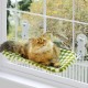 MEWOOFUN Cat Hammock Window Seats for Cats 54 x 30 cm Foldable Cat Bed Window with Sturdy Suction Cups up to 18 kg (Grey, Large) MEWOOFUN Cat Hammock Window Seats for Cats 54 x 30 cm Foldable Cat Bed Window with Sturdy Suction Cups up to 18 kg (Grey, Large)