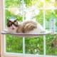 MEWOOFUN Cat Hammock Window Seats for Cats 54 x 30 cm Foldable Cat Bed Window with Sturdy Suction Cups up to 18 kg (Grey, Large) MEWOOFUN Cat Hammock Window Seats for Cats 54 x 30 cm Foldable Cat Bed Window with Sturdy Suction Cups up to 18 kg (Grey, Large)