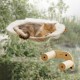 MEWOOFUN Cat Hammock with 2 Stairs, Cordless Window Bed with 3 Suction Cups, 68 cm Wide Wooden Hammock for Indoor Cats MEWOOFUN Cat Hammock with 2 Stairs, Cordless Window Bed with 3 Suction Cups, 68 cm Wide Wooden Hammock for Indoor Cats