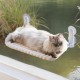 MEWOOFUN Cat Window Perch, Foldable with Removable and Reversible Cover, Soft Cat Window Hammock with Reinforced Steel Frame, Stable up to 18 kg Load Capacity (White, M) MEWOOFUN Cat Window Perch, Foldable with Removable and Reversible Cover, Soft Cat Window Hammock with Reinforced Steel Frame, Stable up to 18 kg Load Capacity (White, M)