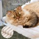 MEWOOFUN Cat Window Perch, Foldable with Removable and Reversible Cover, Soft Cat Window Hammock with Reinforced Steel Frame, Stable up to 18 kg Load Capacity (White, M) MEWOOFUN Cat Window Perch, Foldable with Removable and Reversible Cover, Soft Cat Window Hammock with Reinforced Steel Frame, Stable up to 18 kg Load Capacity (White, M)