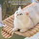 MEWOOFUN Cat Window Perch, Foldable with Removable and Reversible Cover, Soft Cat Window Hammock with Reinforced Steel Frame, Stable up to 18 kg Load Capacity (White, M) MEWOOFUN Cat Window Perch, Foldable with Removable and Reversible Cover, Soft Cat Window Hammock with Reinforced Steel Frame, Stable up to 18 kg Load Capacity (White, M)